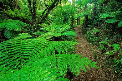 龙腾4顾问：《上古卷轴6》等大作过早公布 会误导玩家