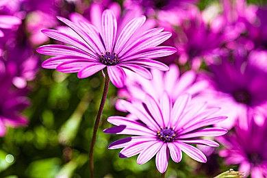 团伙给网吧安木马盗装备！央视起底倒卖账号犯罪链